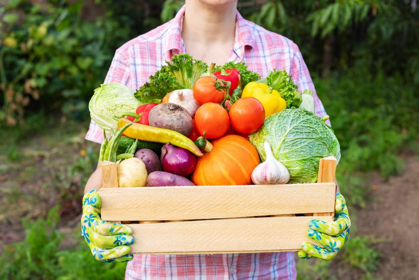 Farmer holding a crate of fresh vegetables